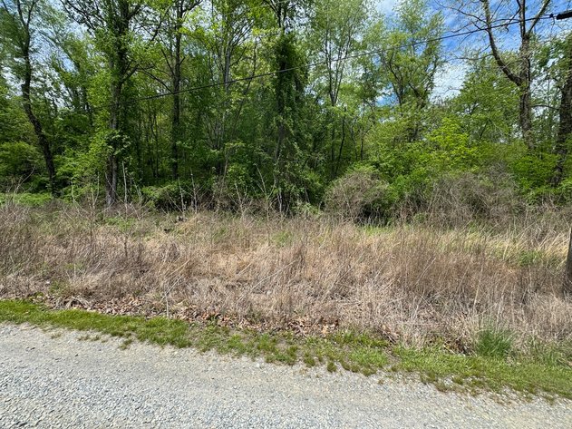 Image for Town of Pulaski, VA Sale of Tax Delinquent Real Estate