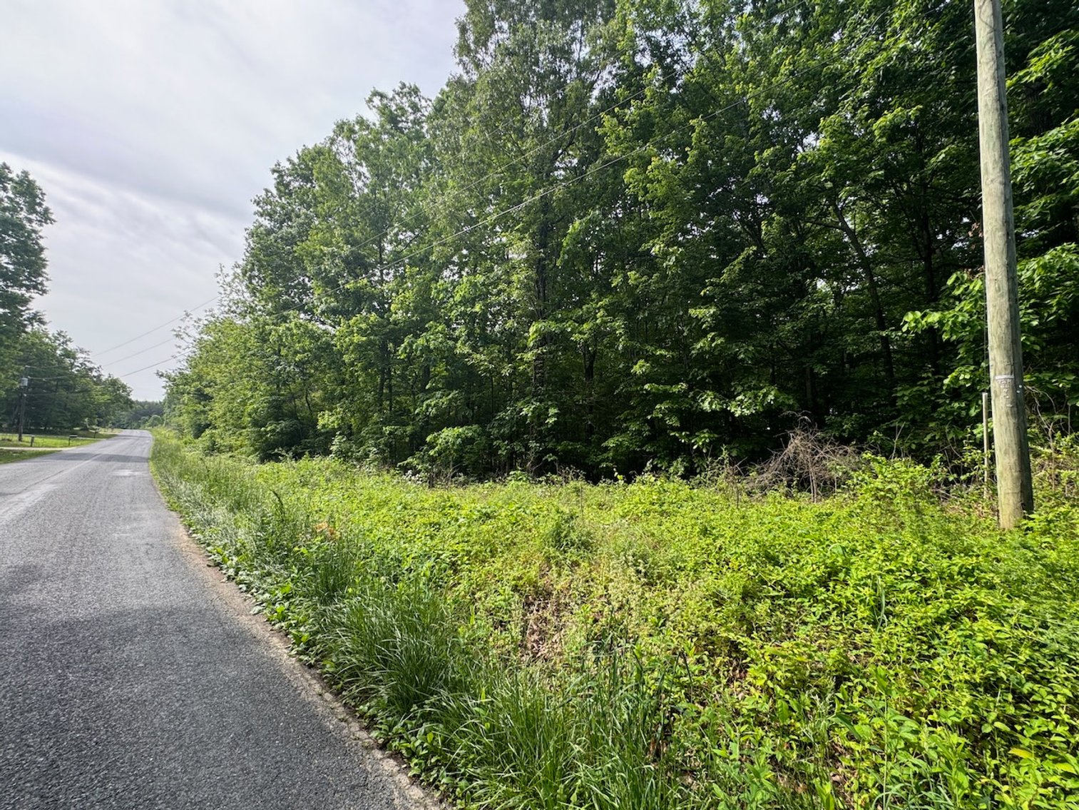 Image for Appomattox County, VA Sale of Tax Delinquent Real Estate