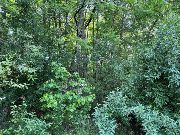 Image for Powhatan County, VA Sale of Tax Delinquent Real Estate