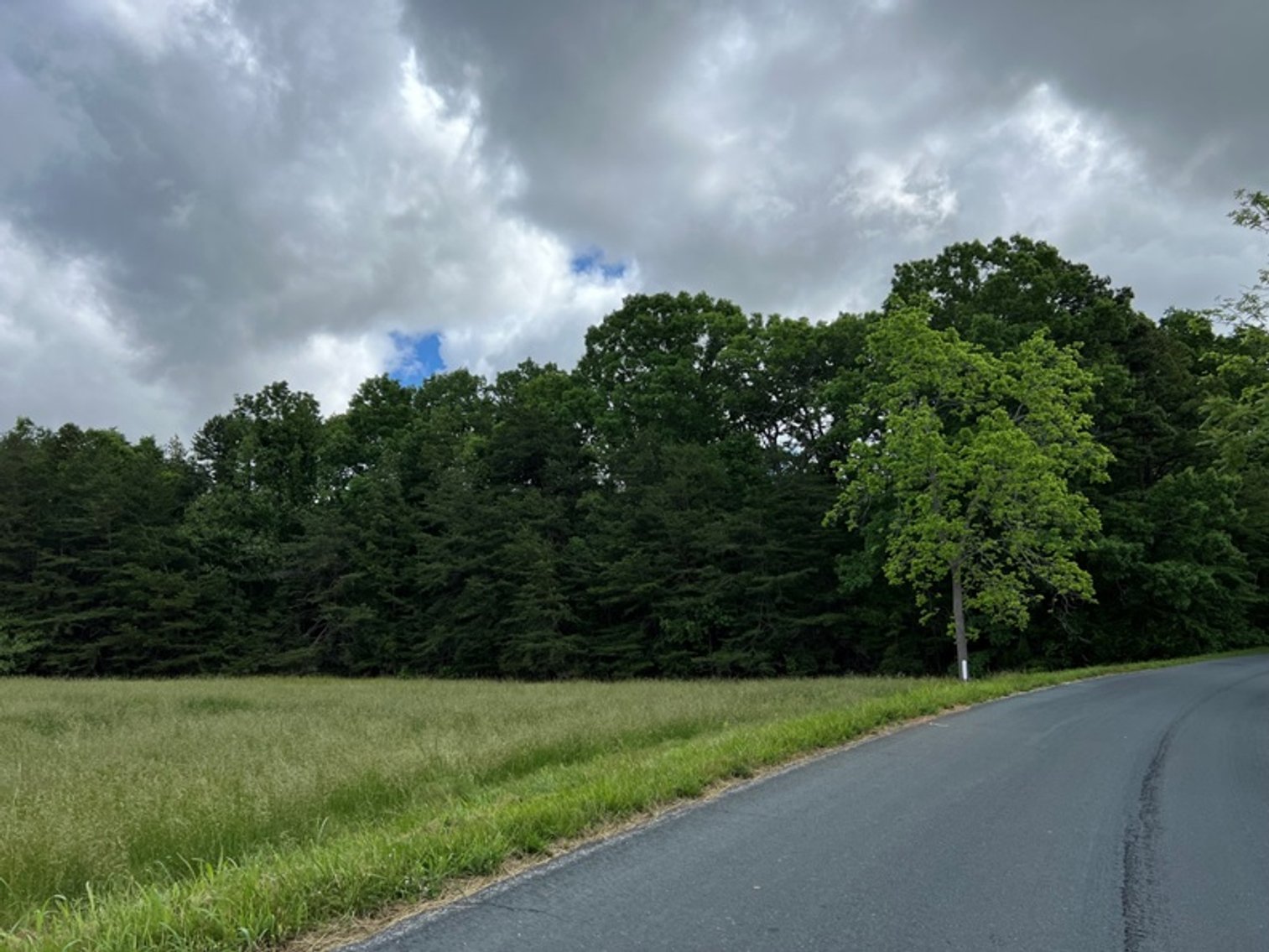 Image for Charlotte County, VA Sale of Tax Delinquent Real Estate