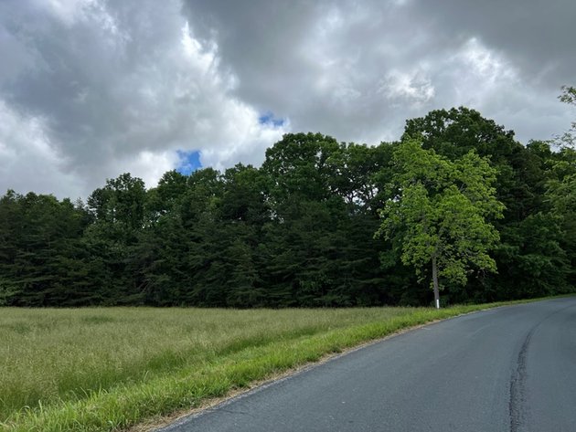 Image for Charlotte County, VA Sale of Tax Delinquent Real Estate