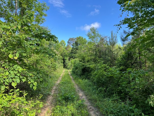 Image for Charlotte County, VA Sale of Tax Delinquent Real Estate