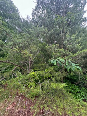 Image for City Of Hopewell, VA Sale of Tax Delinquent Real Estate