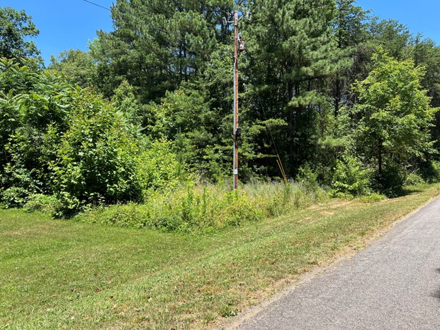 Image for Goochland County, VA Sale of Tax Delinquent Real Estate