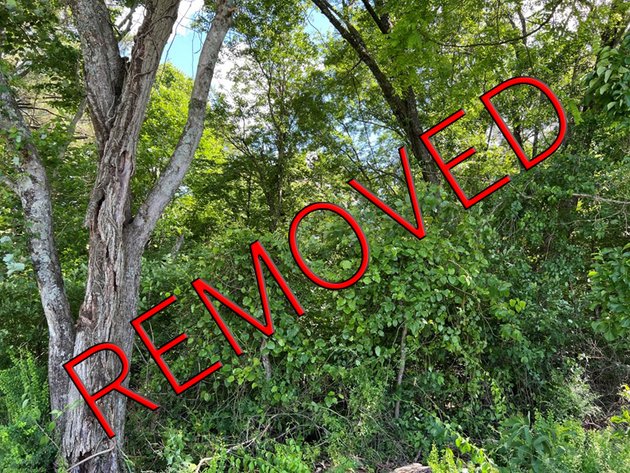 Image for Grayson County & City of Galax, VA Sale of Tax Delinquent Real Estate