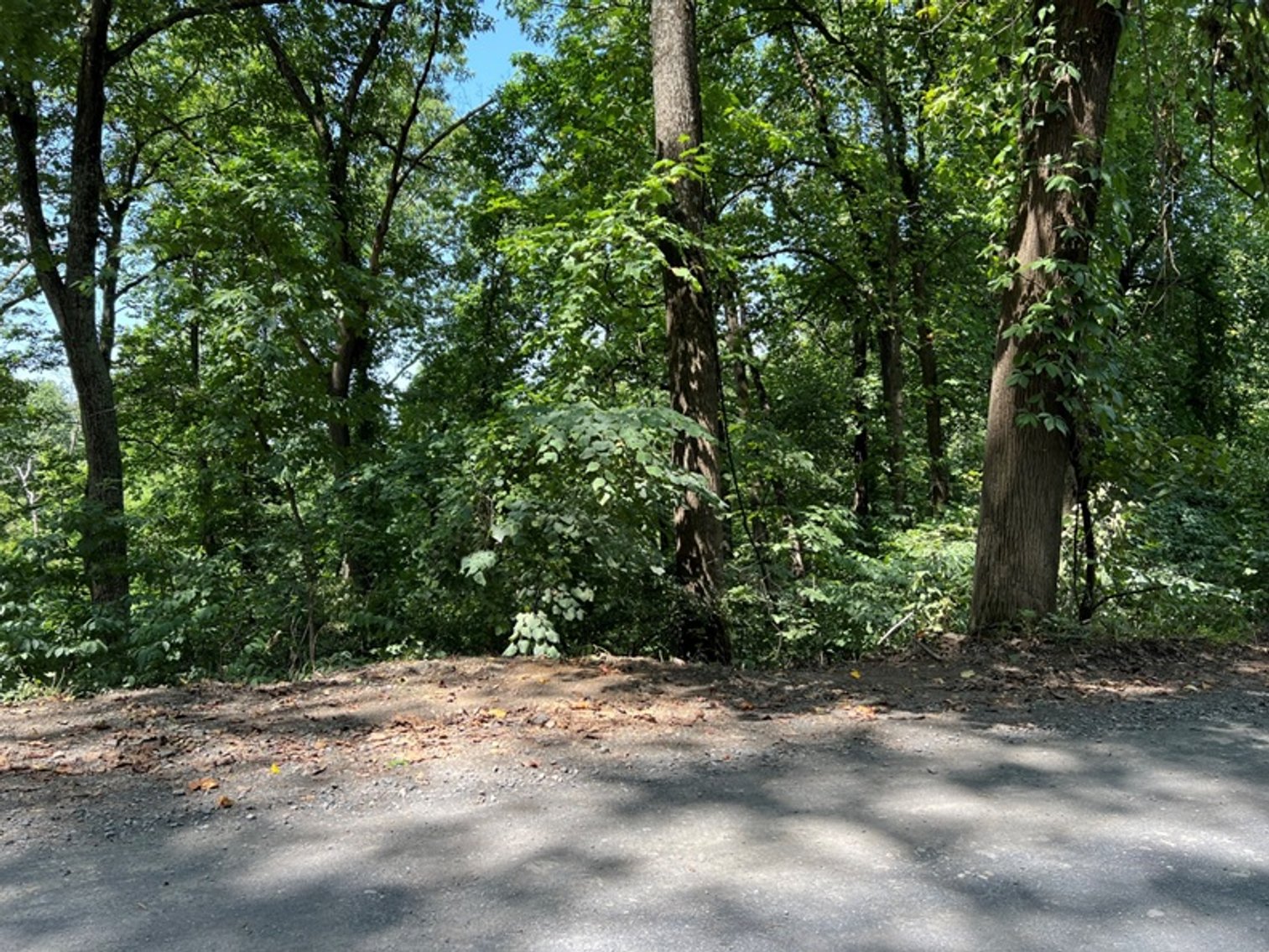 Image for Warren County, VA Sale of Tax Delinquent Real Estate