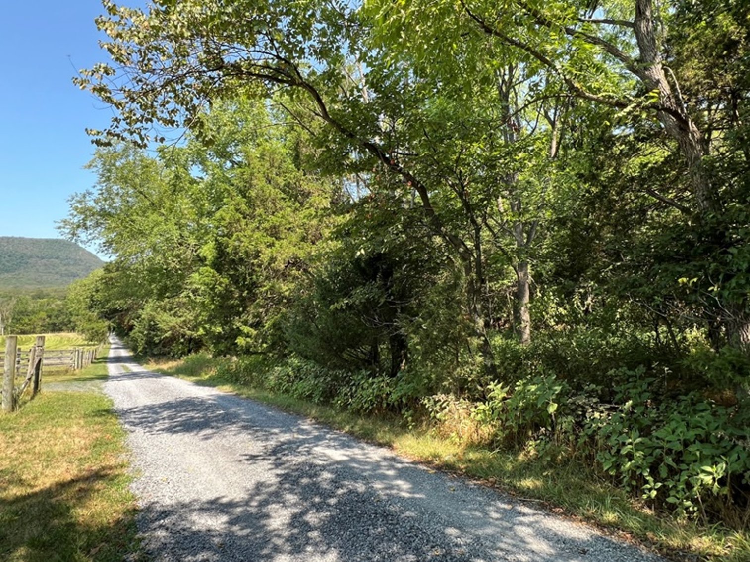 Image for Warren County, VA Sale of Tax Delinquent Real Estate