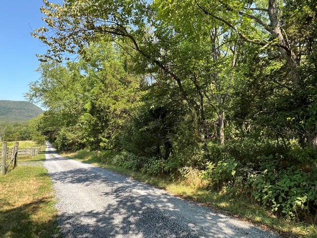 Image for Warren County, VA Sale of Tax Delinquent Real Estate