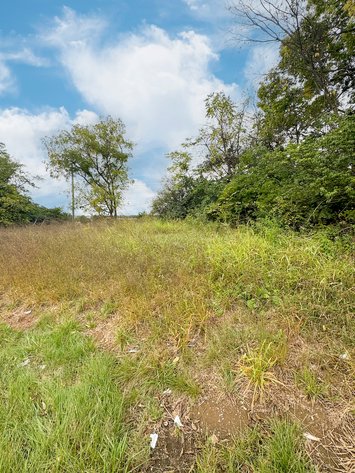 Image for Clarke County, VA Sale of Tax Delinquent Real Estate