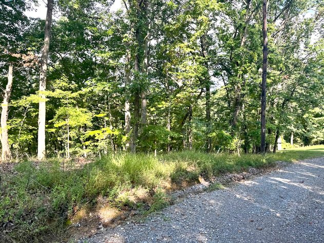 Image for Clarke County, VA Sale of Tax Delinquent Real Estate