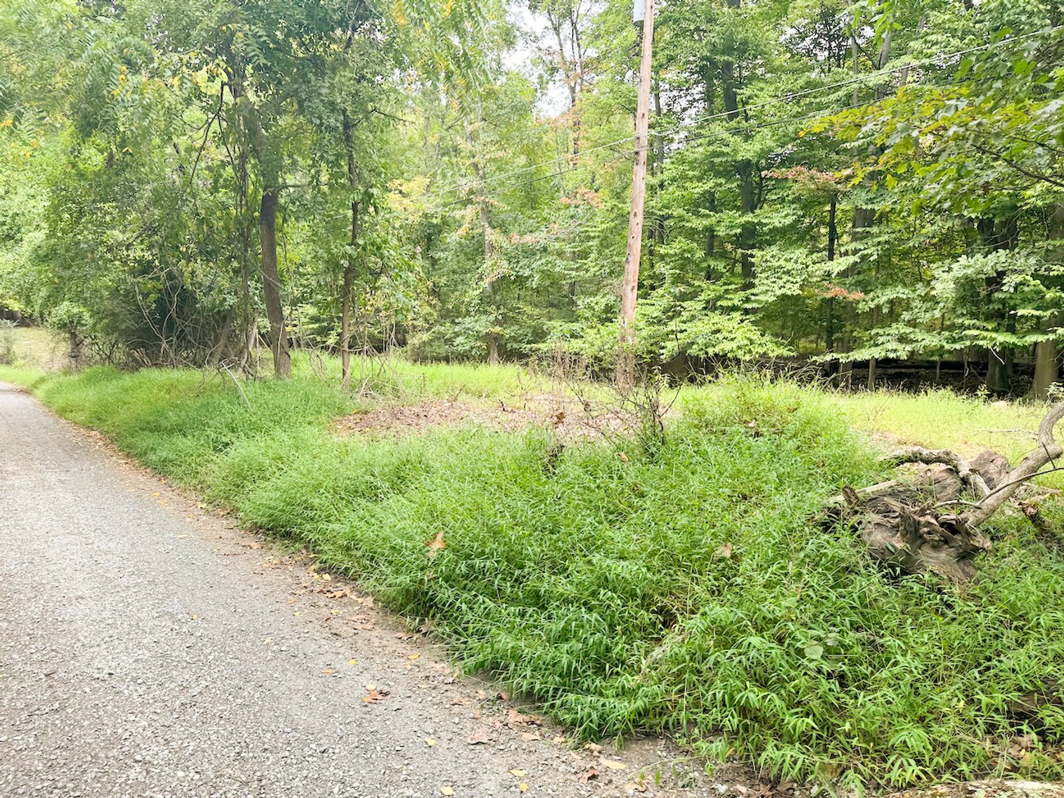 Image for Clarke County, VA Sale of Tax Delinquent Real Estate