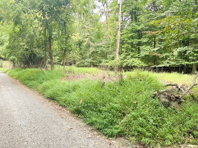 Image for Clarke County, VA Sale of Tax Delinquent Real Estate