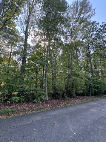 Image for Hanover County, VA Sale of Tax Delinquent Real Estate