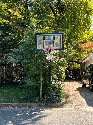 Image for City Of Alexandria, VA Sale of Tax Delinquent Real Estate