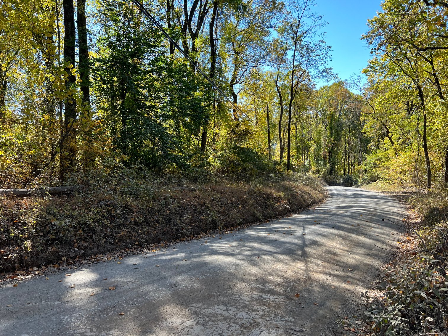 Image for Warren County, VA Sale of Tax Delinquent Real Estate