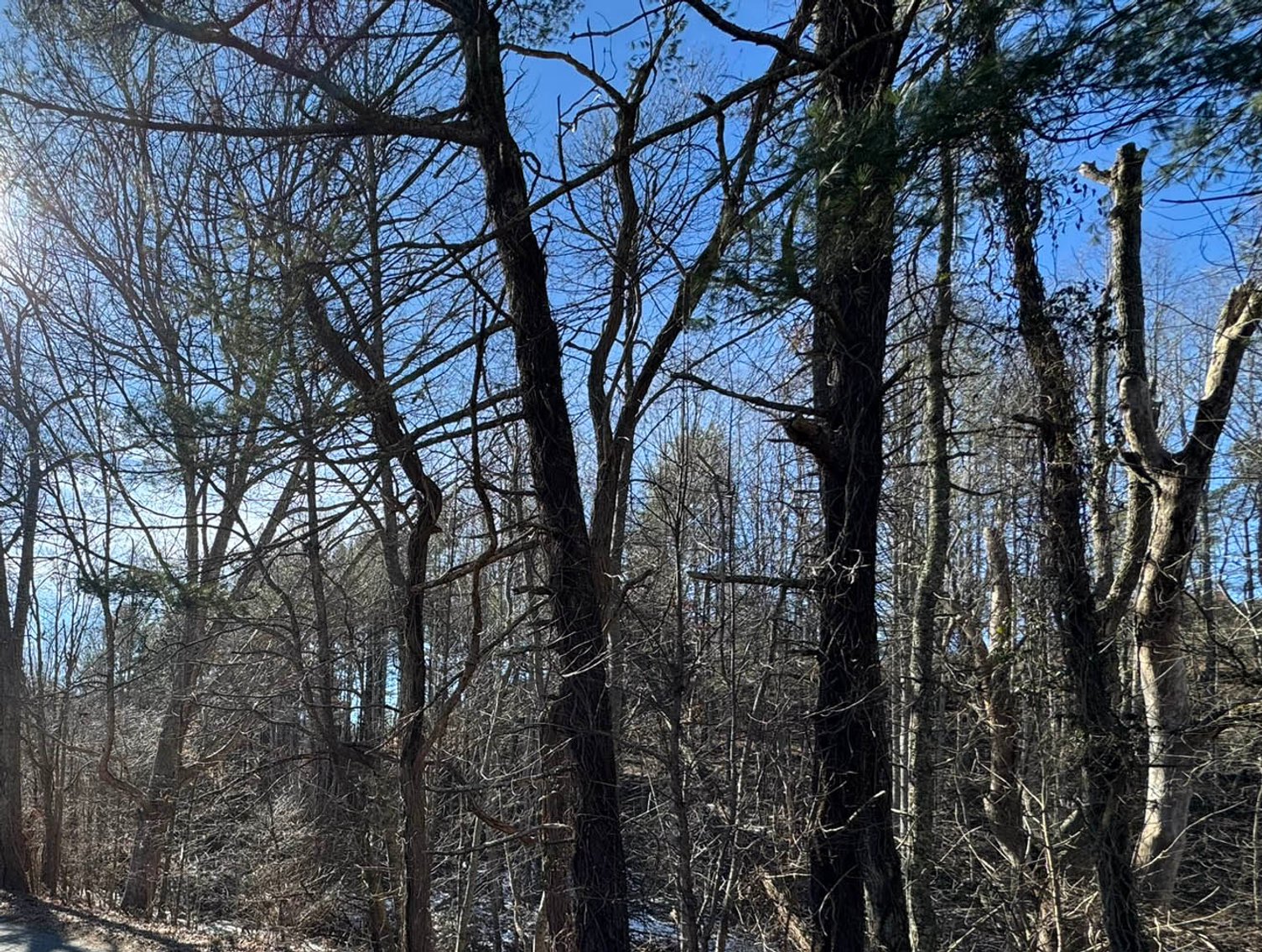 Image for Carroll County, VA Sale of Tax Delinquent Real Estate