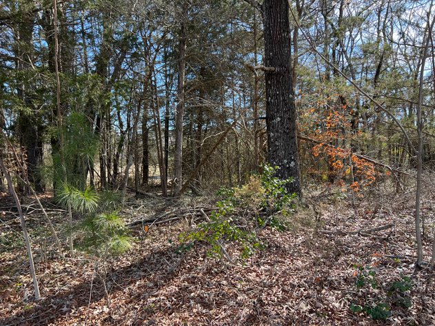 Image for Hanover County, VA Sale of Tax Delinquent Real Estate