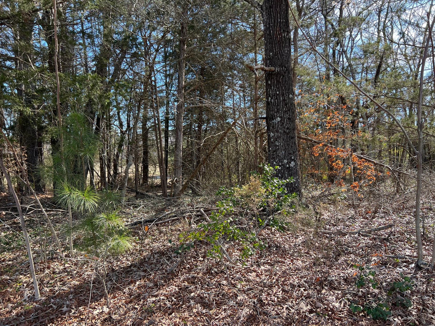 Image for Hanover County, VA Sale of Tax Delinquent Real Estate