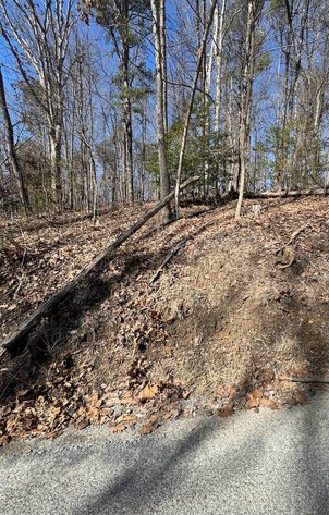 Image for Clarke County, VA Sale of Tax Delinquent Real Estate