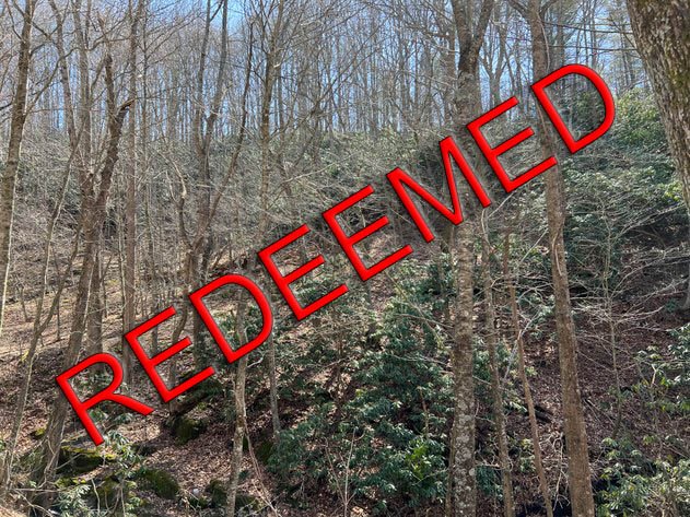 Image for Grayson County and & City of Galax Tax Delinquent Sale