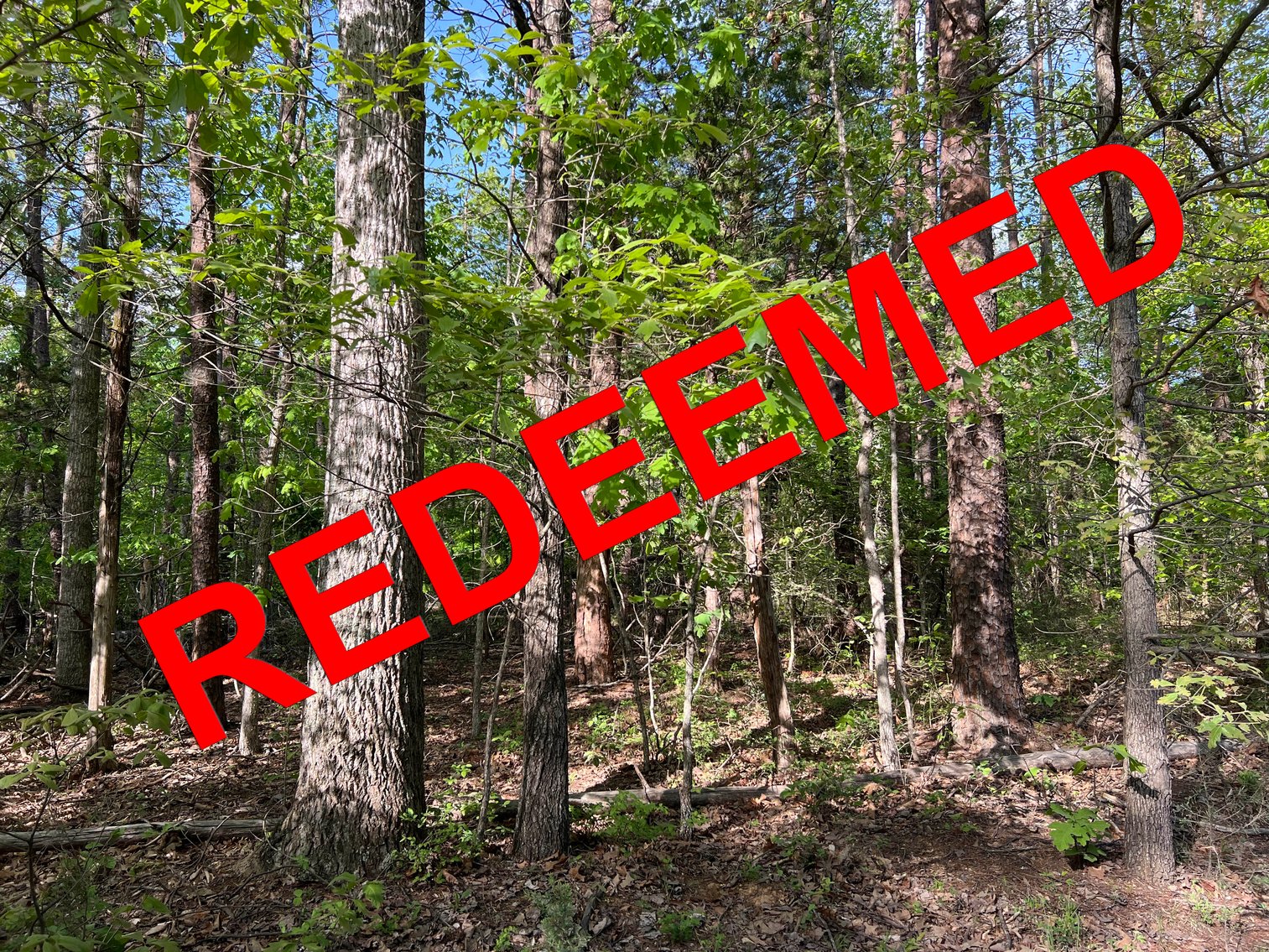 Image for Louisa County Tax Delinquent Sale