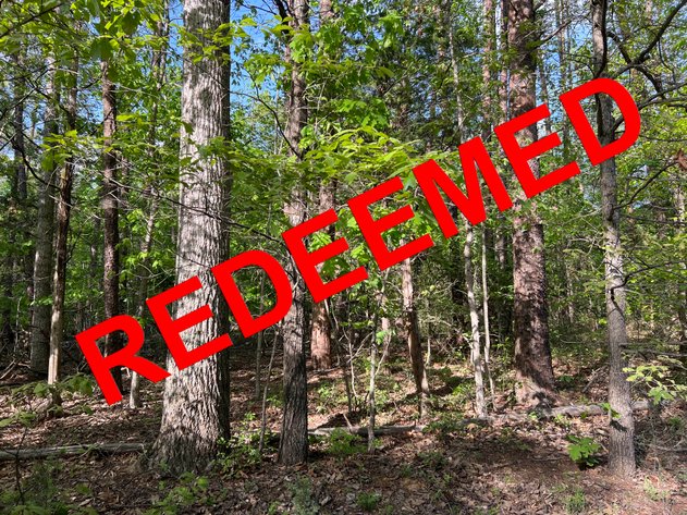 Image for Louisa County Tax Delinquent Sale