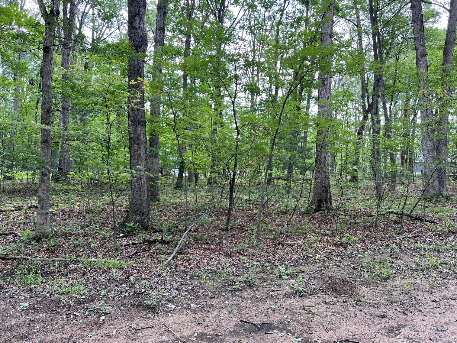 Image for Warren County Tax Delinquent Sale