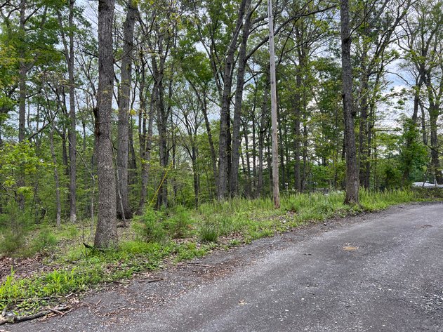 Image for Warren County Tax Delinquent Sale