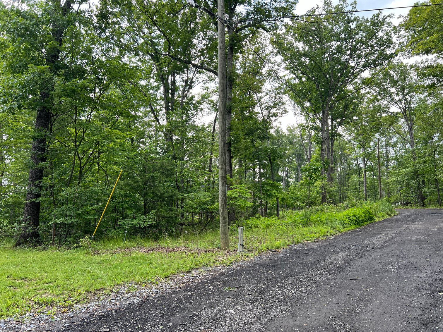 Image for Warren County Tax Delinquent Sale