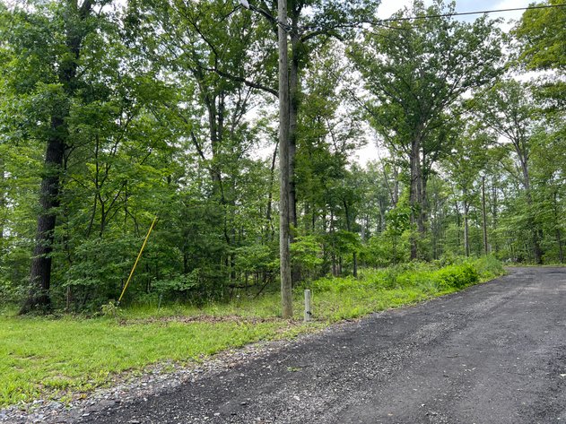 Image for Warren County Tax Delinquent Sale