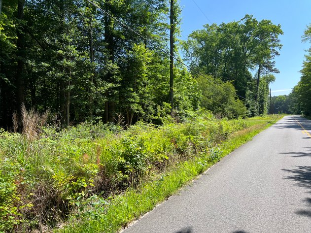 Image for Mathews County Tax Delinquent Sale