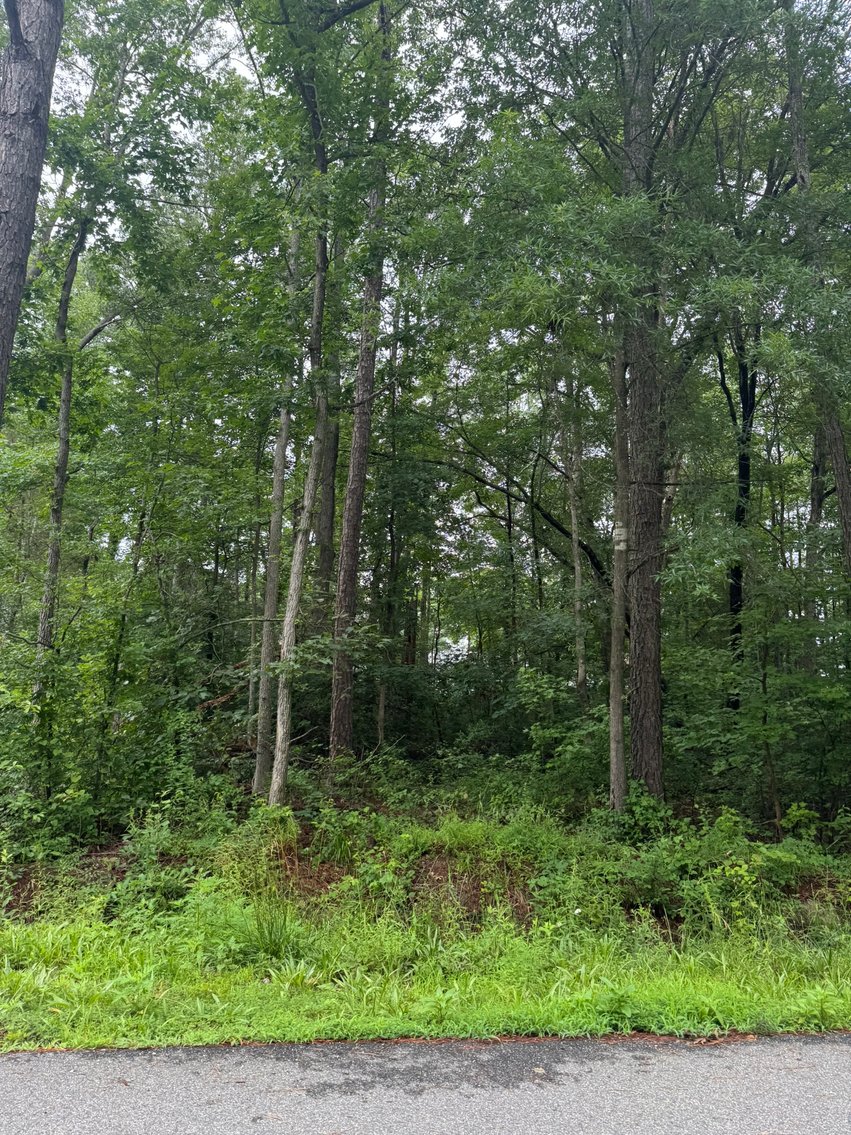 Image for Caroline County, VA Sale of Tax Delinquent Real Estate