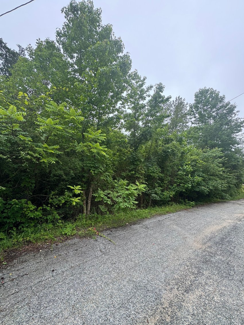 Image for Caroline County, VA Sale of Tax Delinquent Real Estate