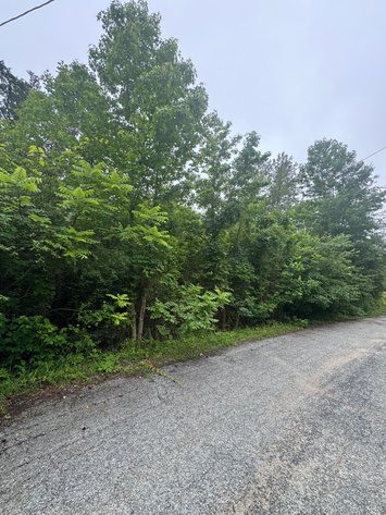 Image for Caroline County, VA Sale of Tax Delinquent Real Estate