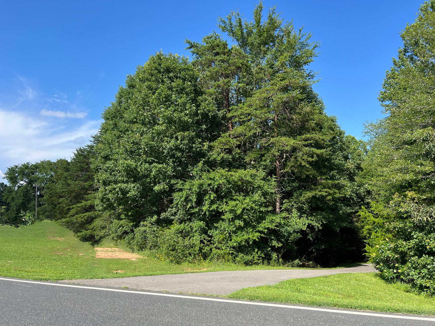 Image for Prince Edward County Tax Delinquent Sale