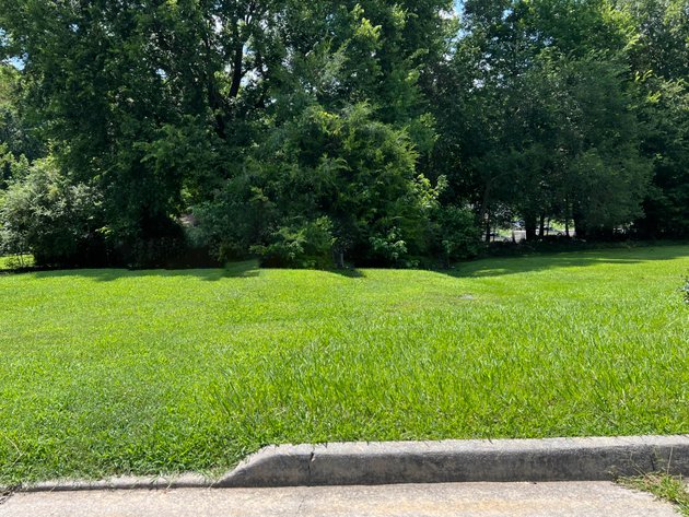 Image for Prince Edward County Tax Delinquent Sale