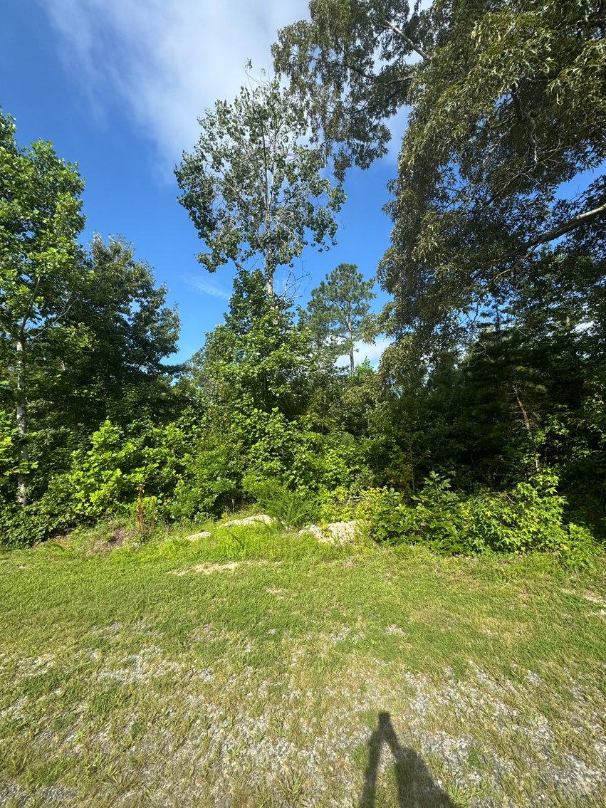 Image for Essex County, VA Sale of Tax Delinquent Real Estate