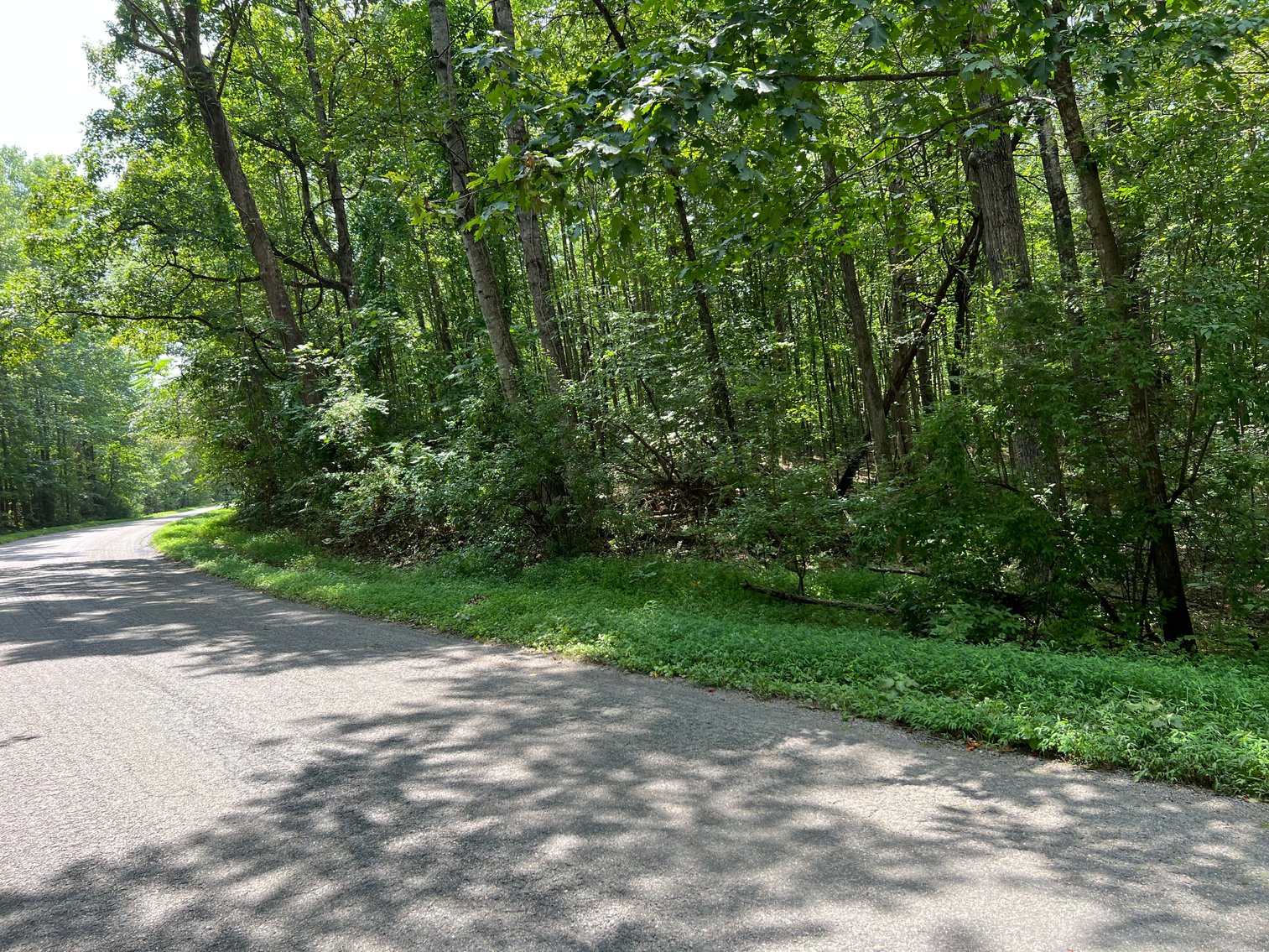 Image for Cumberland County Tax Delinquent Sale