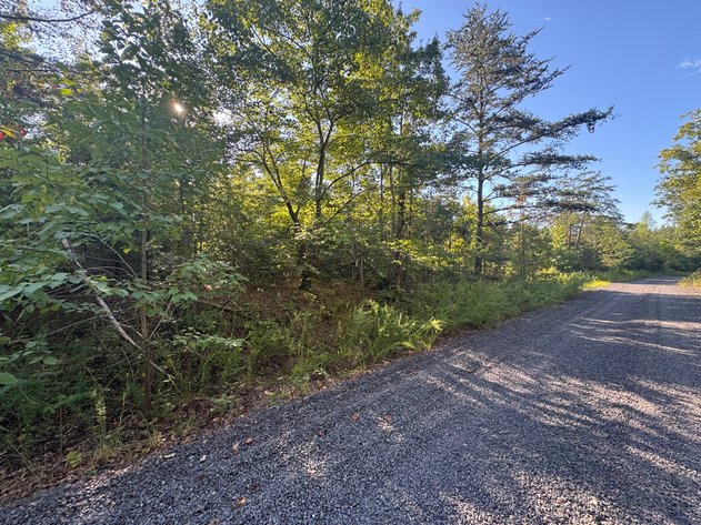 Image for Spotsylvania County, VA Sale of Tax Delinquent Real Estate