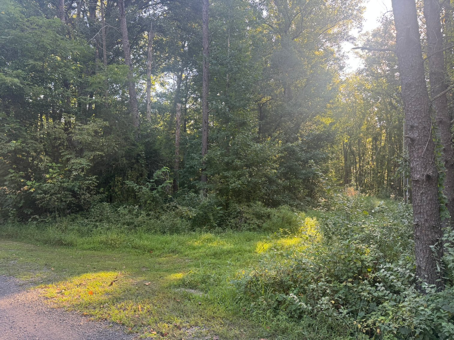 Image for Spotsylvania County, VA Sale of Tax Delinquent Real Estate