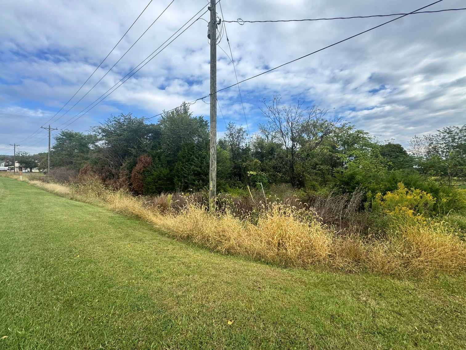 Image for Shenandoah County, VA Sale of Tax Delinquent Real Estate