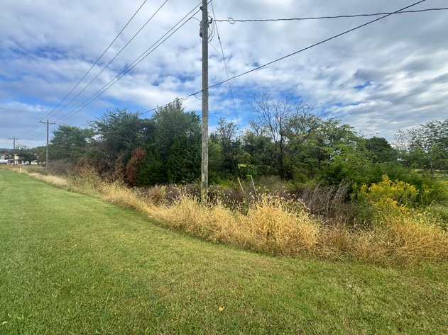 Image for Shenandoah County, VA Sale of Tax Delinquent Real Estate