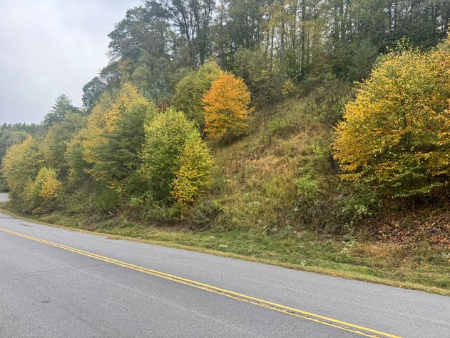 Image for Carroll County, VA Sale of Tax Delinquent Real Estate