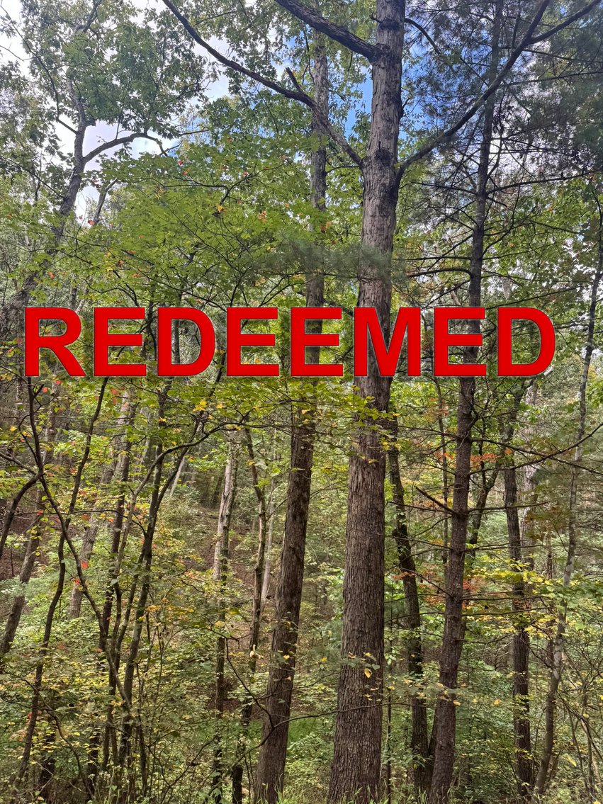 Image for Stafford County, VA Sale of Tax Delinquent Real Estate 10-28-2025