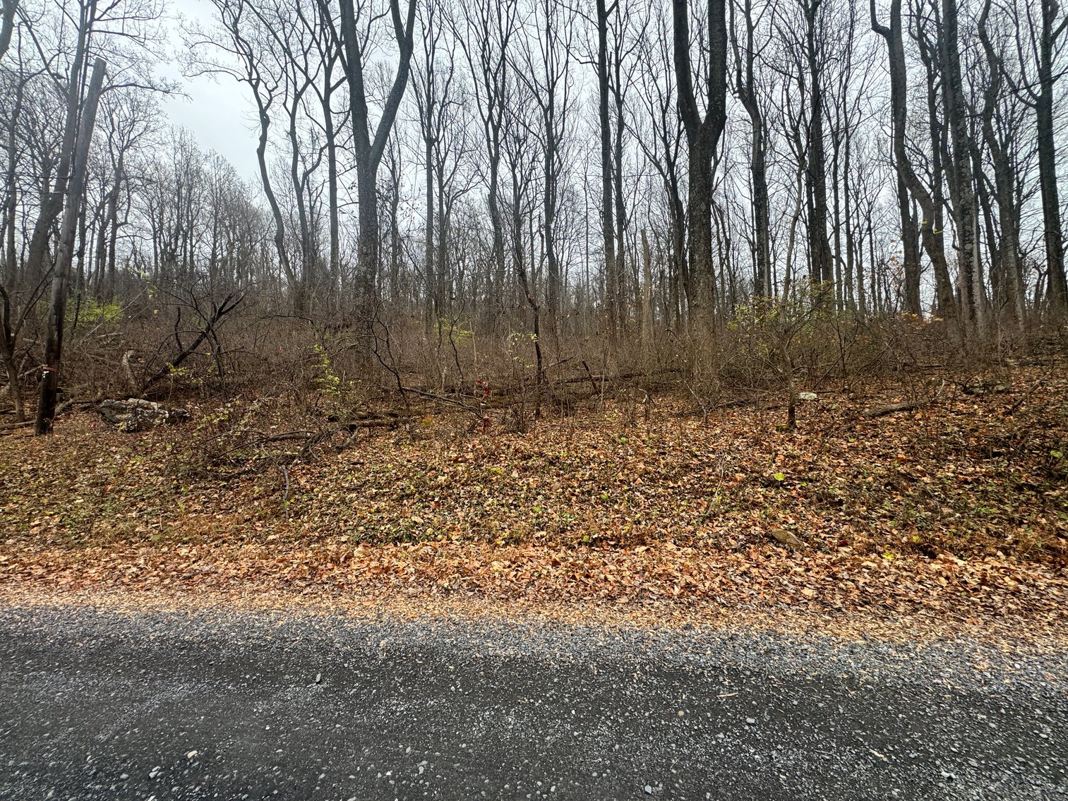 Image for Warren County Tax Delinquent Sale