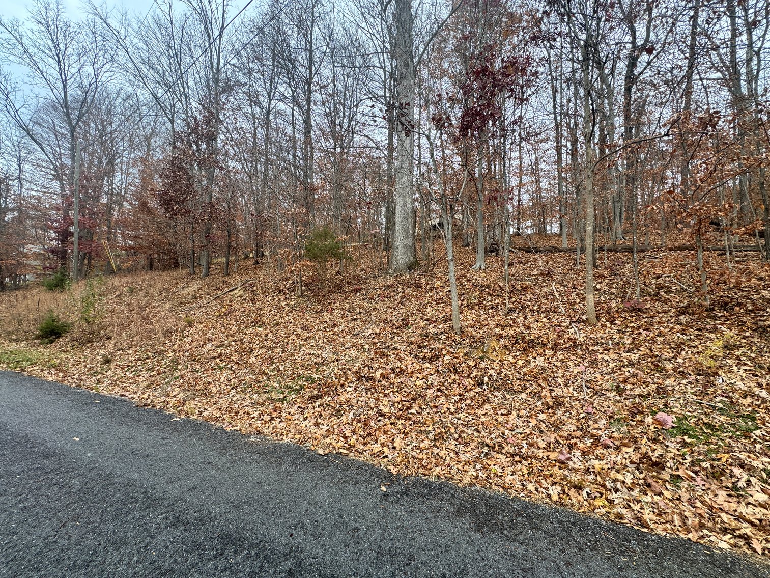 Image for Warren County Tax Delinquent Sale