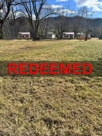 Image for Rockbridge County Tax Delinquent Sale