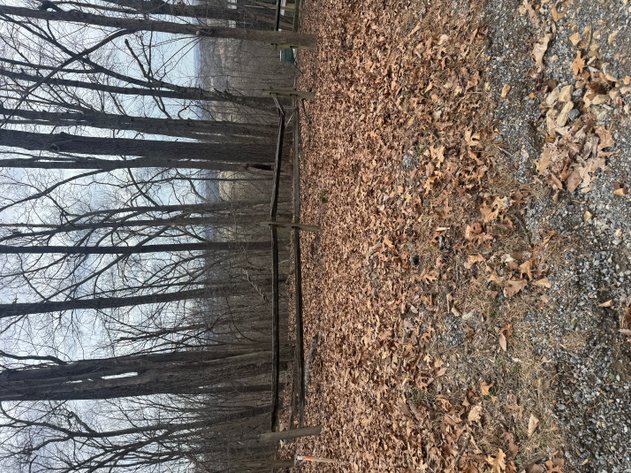 Image for Clarke County, VA Sale of Tax Delinquent Real Estate