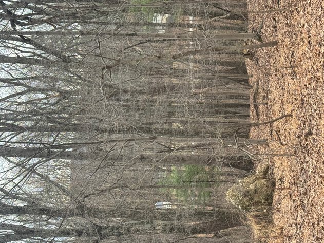 Image for Clarke County, VA Sale of Tax Delinquent Real Estate