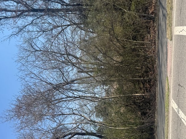 Image for King William Tax Delinquent Sale